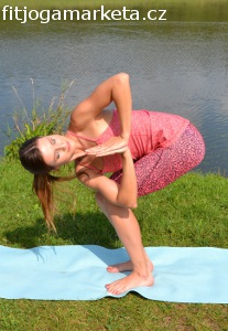 Utkatasana_0254